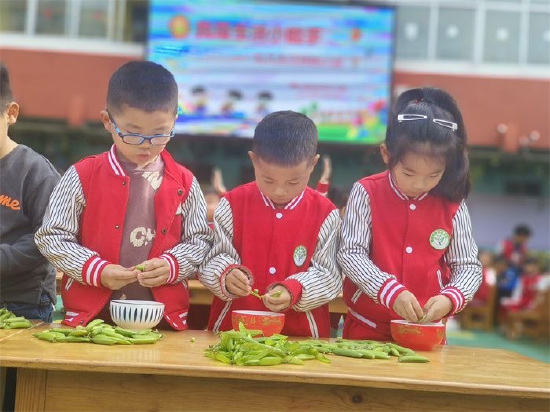 剥豌豆活动目标_幼儿剥豌豆的好处_幼儿生活技能剥豌豆