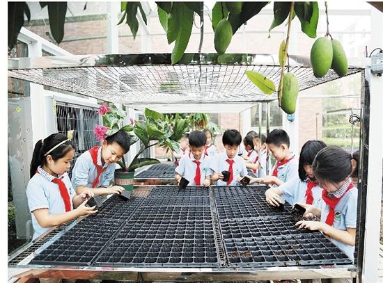 木作生活技能_作木技能生活怎么学_奎木狼在什么山作妖