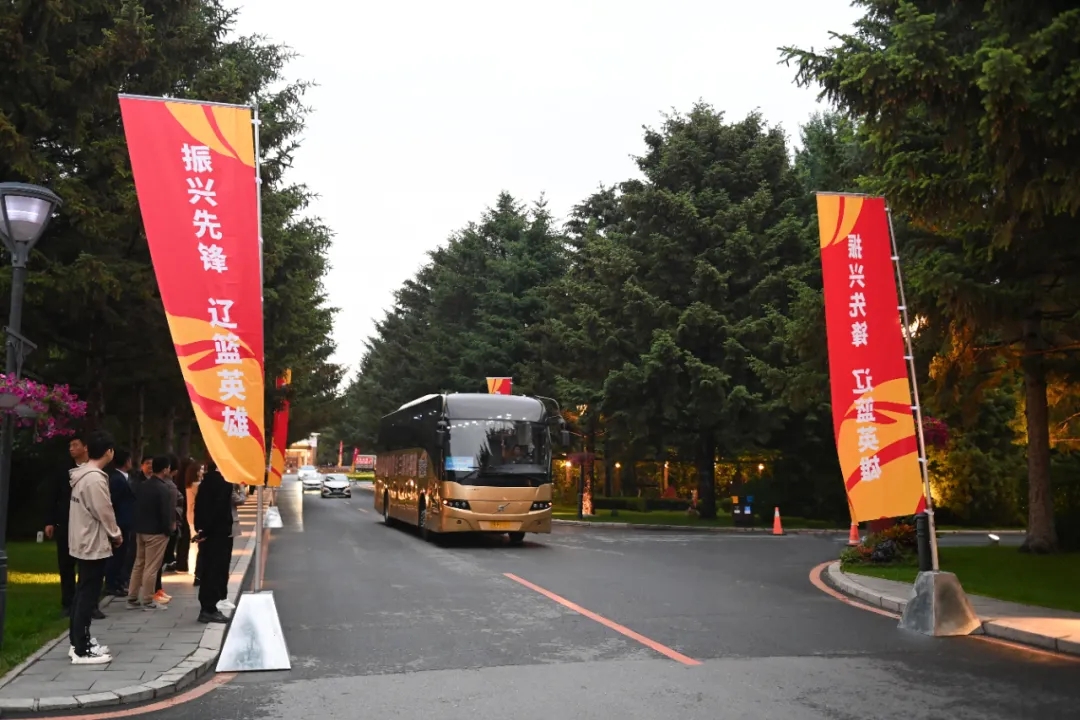 篮球三年冠军是哪三年_篮球二三年总冠军_篮球赛冠军