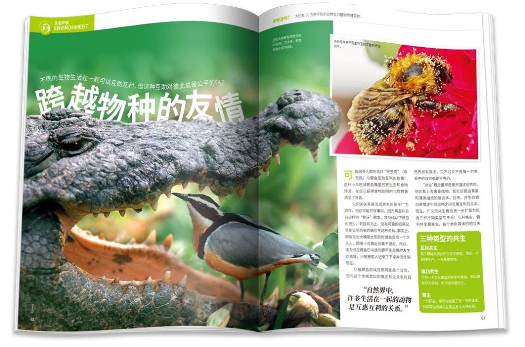 终极泰坦马拉松_马拉松终极训练指南pdf_穿越火线终极泰坦图片