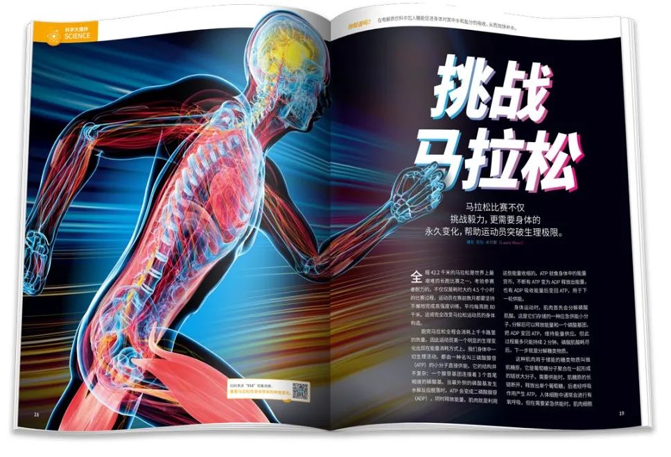 马拉松终极训练指南pdf_终极泰坦马拉松_穿越火线终极泰坦图片