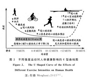 厦门马拉松死亡人数_马拉松 猝死 厦门_厦门马拉松死亡