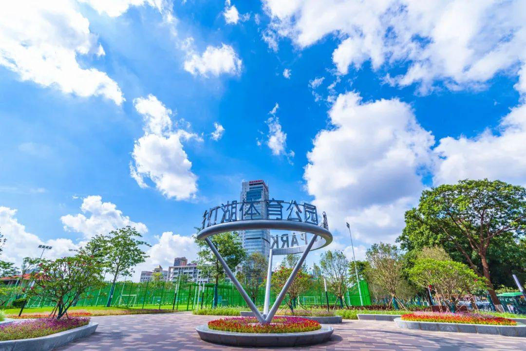 佛山篮球队_篮球佛山村赛冠军_佛山市篮球